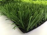 Football Grass