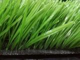 Economic Football Grass