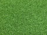 Golf Grass